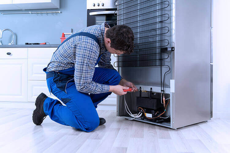 Fridge Repairing Service